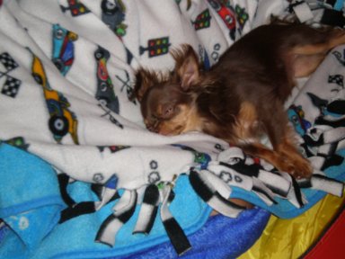 piccho2.jpg